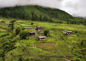 12 Days Druk Path Trekking